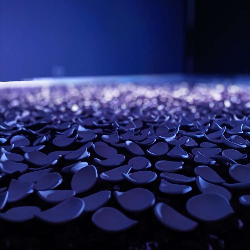 Ceràmica Montse Artés