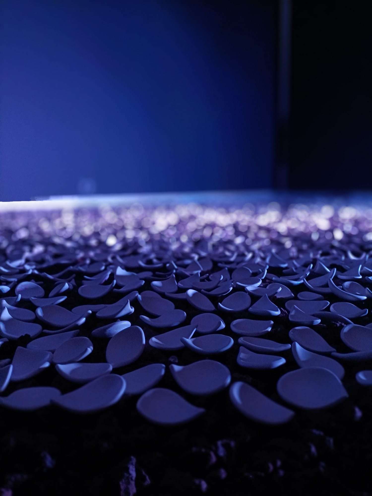 Ceràmica Montse Artés